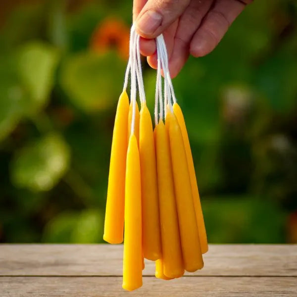 Alchemilla - Kerstboomkaarsjes - Bijenwas - 20 stuks