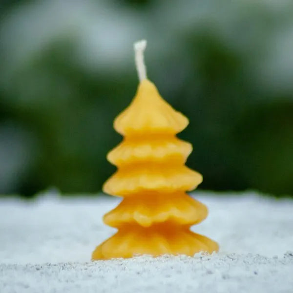 Alchemilla - Kerstboomkaarsje - Bijenwas