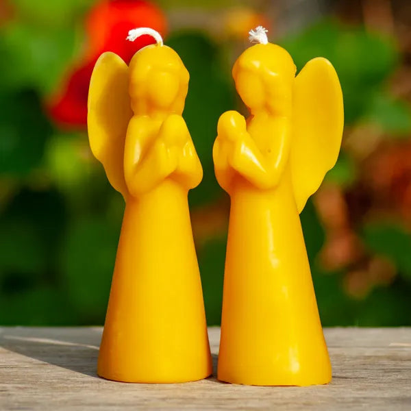 Alchemilla - Bijenwaskaars engel