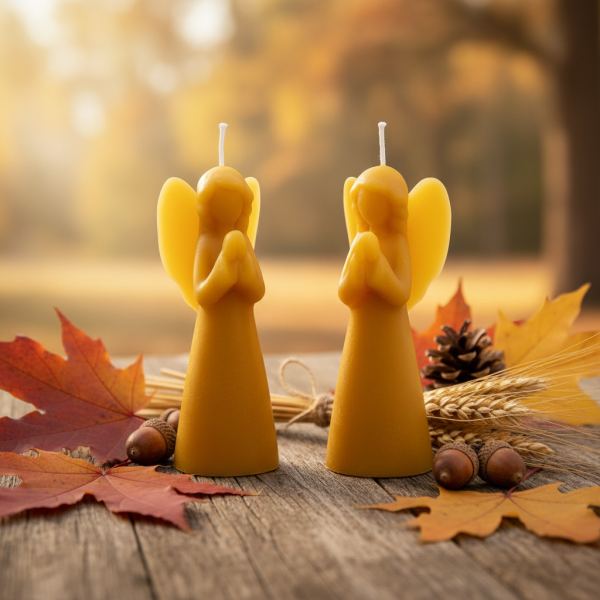 Alchemilla - Bijenwaskaars engel