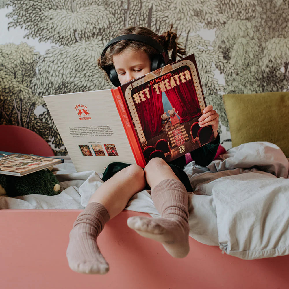 Het Muizenhuis - Het theater