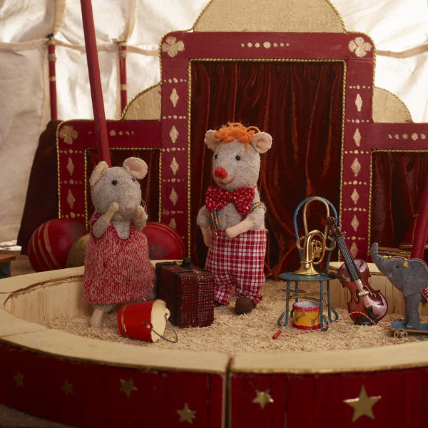 Het Muizenhuis - Het circus