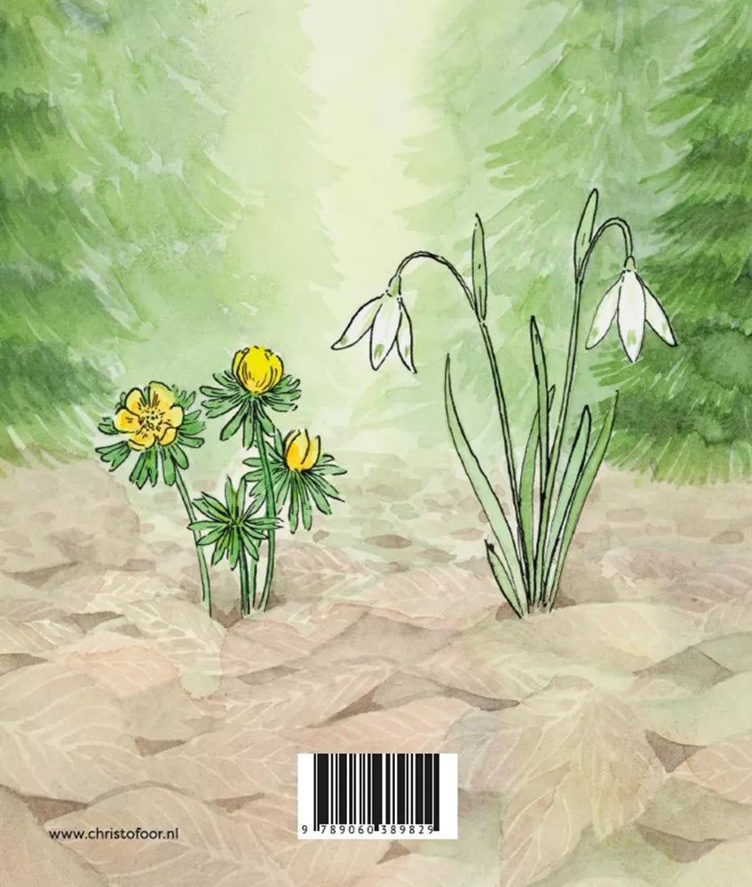 Christofoor - Winter - Kartonboekje