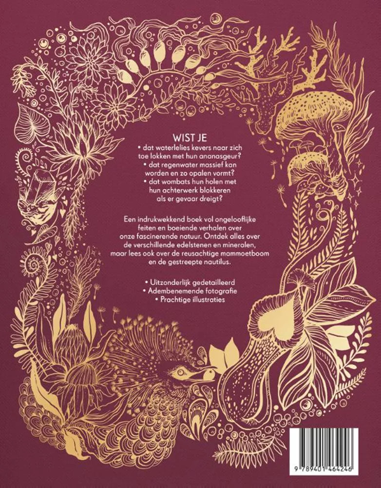Lannoo - Dikke boek van onze bijzondere natuur