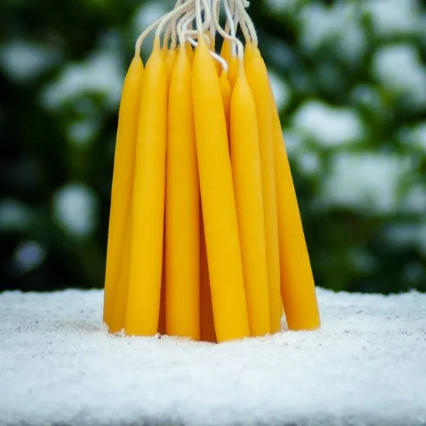 Alchemilla - Kerstboomkaarsjes - Bijenwas - 20 stuks