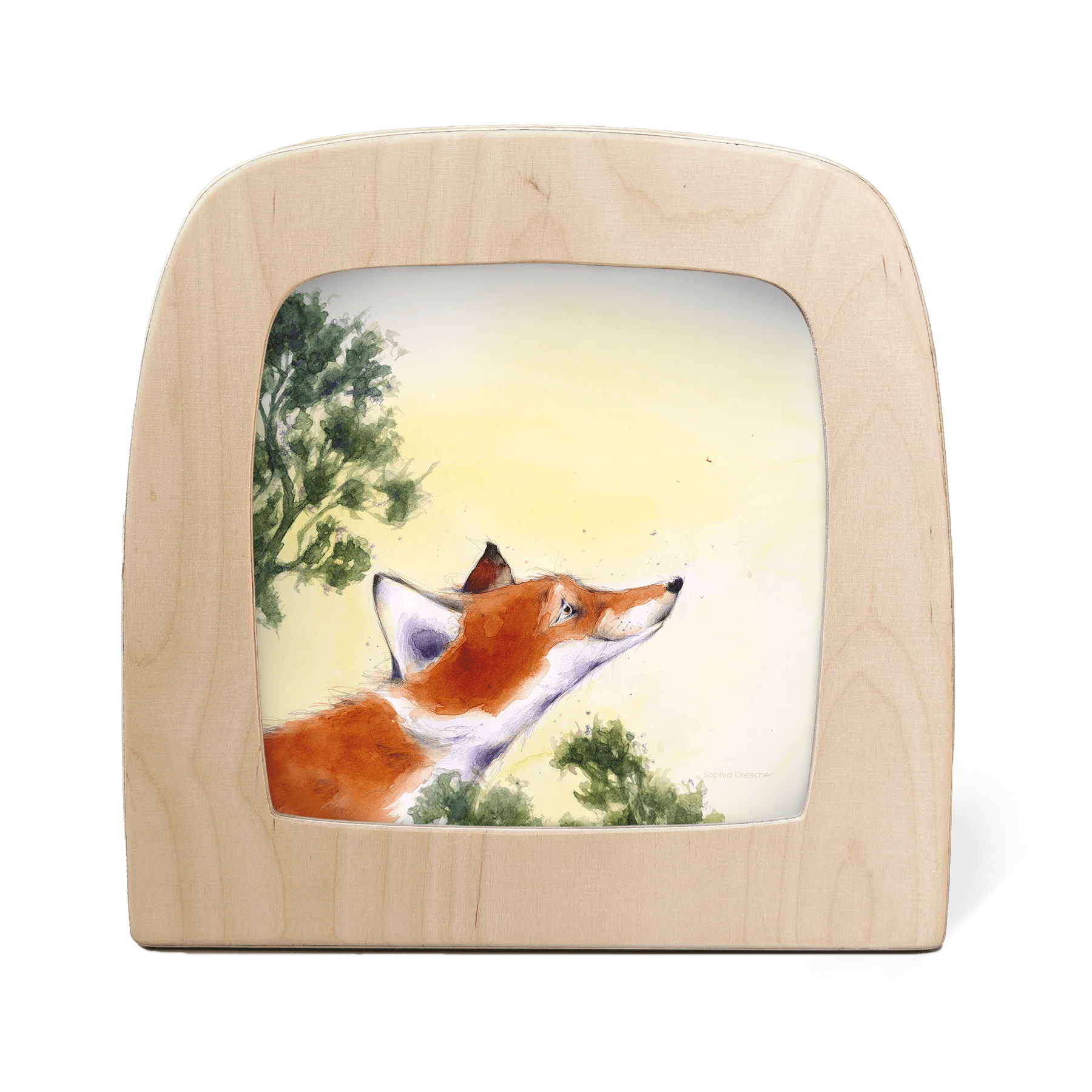 Toverlux - Hrókur - Wisselplaat - Vos