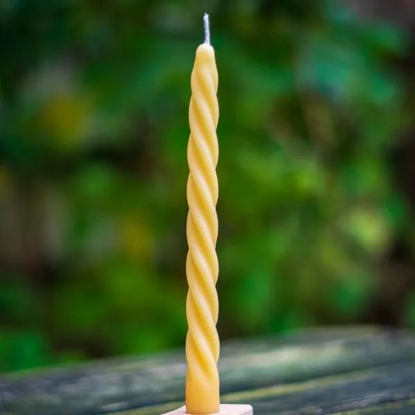 Alchemilla - Druipkaars Twist - Bijenwas