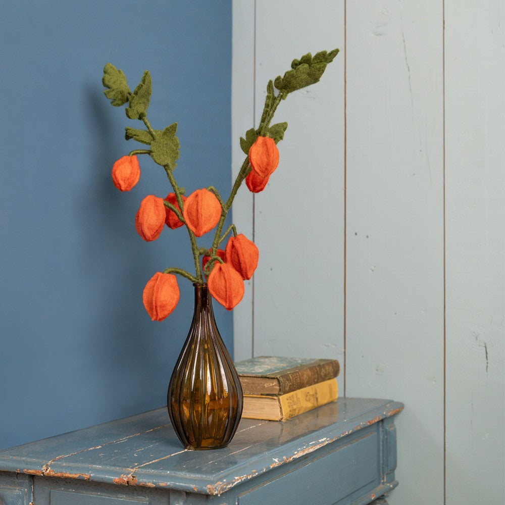 Sjaal met verhaal - Tak Physalis Lampion