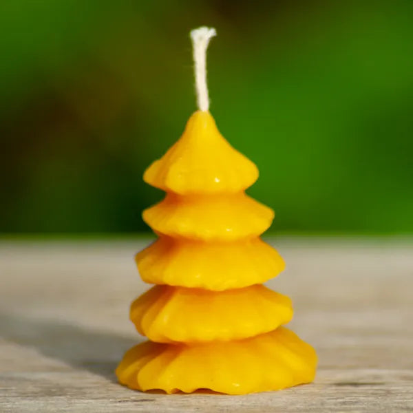 Alchemilla - Kerstboomkaarsje - Bijenwas