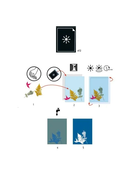 Djeco - Cyanotype - Voor geplukte planten en bloemen