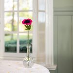 Sjaal met verhaal - Anemoon - Fuchsia