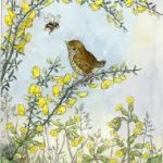 Ansichtkaart - Molly Brett - Baby thrush on gorse with cowslips and bee