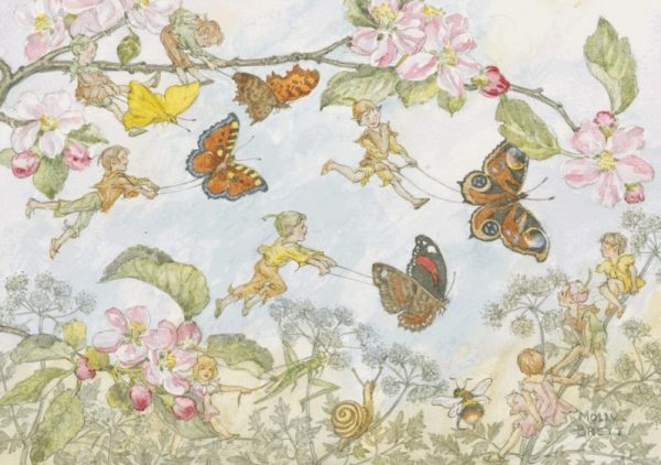 Ansichtkaart - Molly Brett - The butterfly race