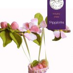 Atelier Pippilotta - Appelbloesem