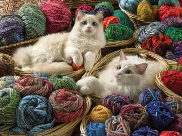Cobble Hill - Puzzel - 275 stukken - Ragdolls